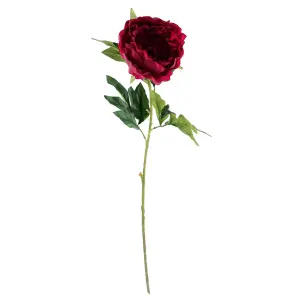 80cm Artificial Dark Pink Peony Stem