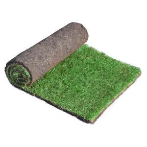 Lawn turf, 42m² Pack