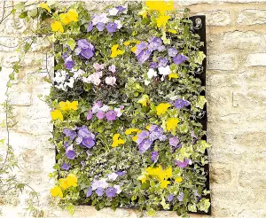 9 Pocket Vertical Wall Planter - Indoor Outdoor Floral Feature Black Hanging Flower Herb Veg Holder for Walls & Fences - 70 x 70cm