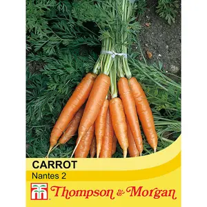 Carrot Nantes 2 1 Seed Packet (1500 Seeds)