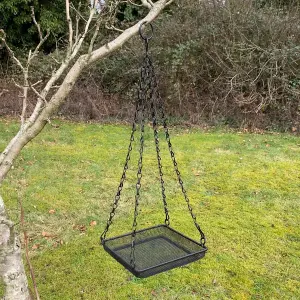 Hanging Metal Bird Seed & Nut Feeder Tray