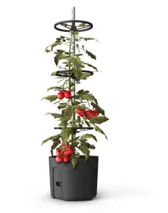 Self-watering Tomato Pot, trough, planter - extendable trellis - with Vermiculite - 290mm dia, 1090mm tall, 14L