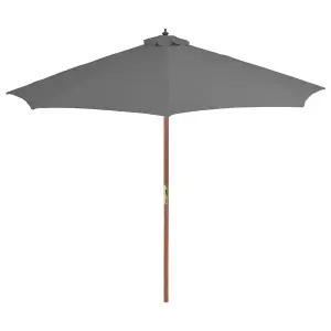 Berkfield Outdoor Parasol with Wooden Pole 300 cm Anthracite