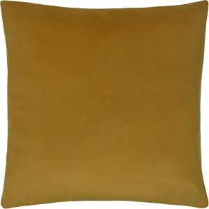 Paoletti Sunningdale Square Velvet Feather Filled Cushion