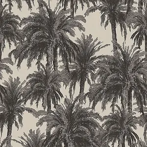 Galerie Ted Baker Eden Black Treetops Design Wallpaper Roll