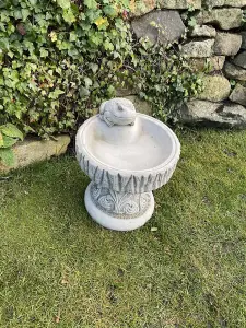 Rustic Garden Birdbath with Frog atop