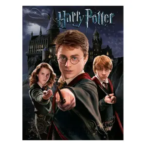 Harry Potter Canvas Print Black/Beige (40cm x 50cm)