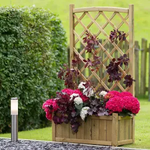 Zest Cambridge Wooden Rectangular Garden Planter & Lattice Trellis