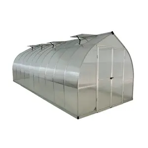 Bella 8 Ft W x 20 Ft D Greenhouse