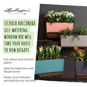 LECHUZA BALCONERA Color 50cm Window Box, Sand Brown Self-watering Planter with Substrate and Water Level Indicator H19 L50 W19 cm