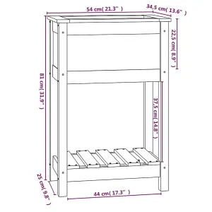 Berkfield Planter with Shelf 54x34.5x81 cm Solid Wood Pine