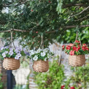 Easy Basket - Blossom - Hanging Basket