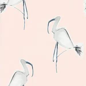 Scion Zanzibar Blush Flamingos Smooth Wallpaper