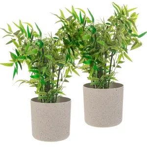 LIVIVO Indoor Plant Pots - Set of 2, Gardening Pot for All House Plants, Herbs & Foliage Plant - Ideal Home Decor Planter - 22cm