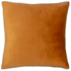 Paoletti Meridian Velvet Piped Feather Filled Cushion