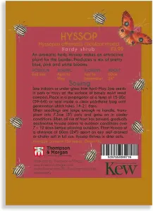 Hyssop Promo New Kew Range 1 Packet (150 Seeds)