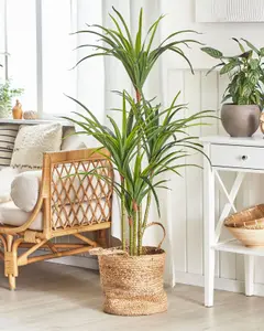 Artificial Plant DRACAENA ANITA Green