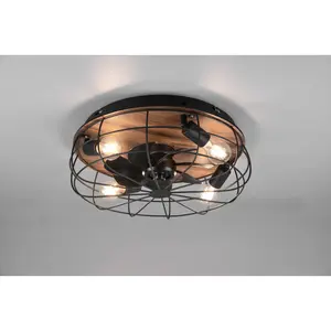 Calista 48cm Ceiling Fan with Light Kit Brown