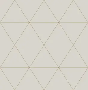 NuWallpaper SLW3706 Double Take Peel & Stick Wallpaper, Gold