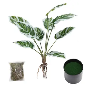 Potted Fake Plants Artificial Calathea White Fusion for Home Decoration 545mm (H)