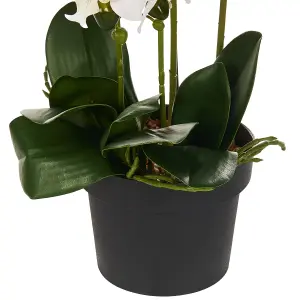 Beliani Retro Artificial Plant NIOKA White