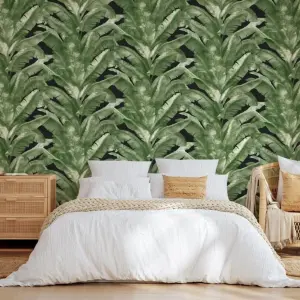 Tropical Green & Black Jungle Palm Wallpaper TR5200