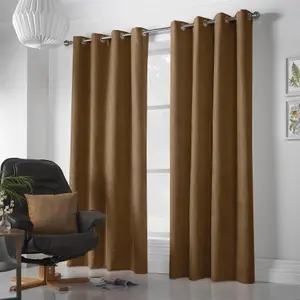 Velvet Chenille Ring Top Curtains 142cm x 183cm Tan