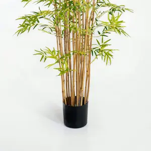 Blooming Artificial - 210cm / 7ft Faux Japanese Bamboo