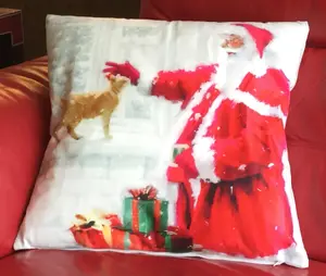 Santa & Cat 18" Christmas Cushion