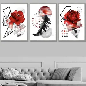 Set of 3 Abstract Red and Black Botanical Wall Art Prints / 50x70cm / Light Grey Frame