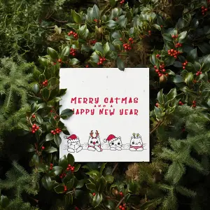 Easy Eco Wildflower Christmas Cat Cards - Eco-friendly and Plantable - Pack of 10