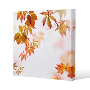 Autumn Leaves (Canvas Print) / 114 x 114 x 4cm