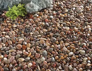 Kelkay Scottish Tweed Pebbles 20-30mm Premium Aggregate Bulk Bag 750kg