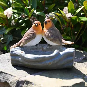 Country Living Robin Pair Bird Bath