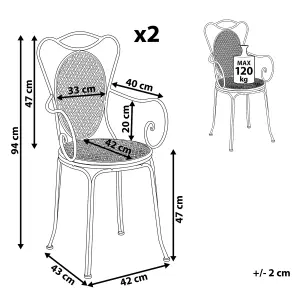 Set of 2 Garden Chairs CILENTO Metal Grey