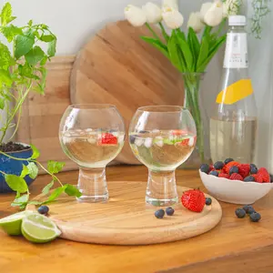 525ml Gin Balloon Glass Set (Set of 2)