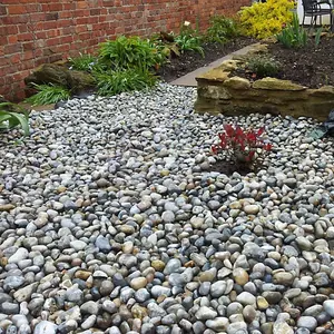 Charles Watson 20mm Lydd Pebbles Naturally Rounded Brown Grey & Cream Approx. 20kg Polybag