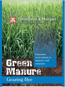 Green Manure Grazing Rye 1 Seed Packet