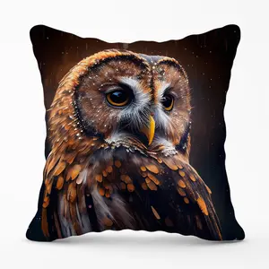 Tawny Owl Face Splashart Dark Background Cushions 60cm x 60cm