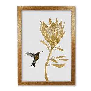 Hummingbird & Flower I - Print Honey Oak Frame / 84.1cm H x 59.4cm W x 4cm D