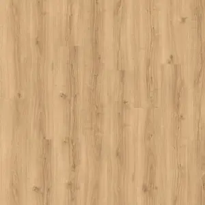 Colos Sepino Oak 1169 Beige Wood Effect 2.5mm Thick Glue-Down Contract LVT For Domestic & Commercial Use 3.62 m² Per Pack