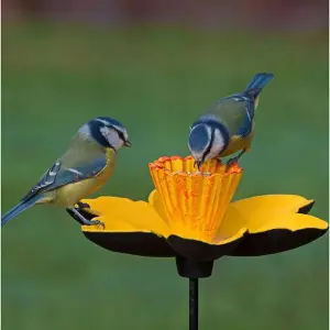 Cast Iron Daffodil & Poppy Bird Feeder Flower Dish Set