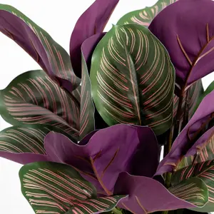 Blooming Artificial - 40cm / 1.25ft Faux Pinstripe Calathea