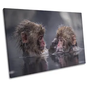 Friends Monkey Friendship Nature CANVAS WALL ART Print Picture (H)81cm x (W)122cm