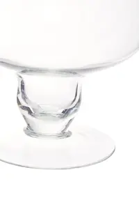 Maison by Premier Ambra Clear Glass Tulip Bowl