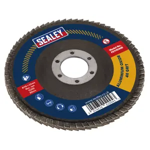 Sealey 40 Grit Flap Discs Aluminium Oxide 115mm 22mm Bore 10 Pieces FD11540E10