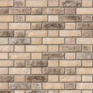 Ibstock New Ivanhoe Cream Brick 65mm Mini Pack 250