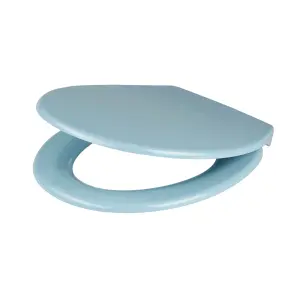 Cooke & Lewis Diani Blue Round Soft close Toilet seat