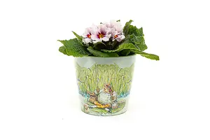 Beatrix Potter Peter Rabbit Eco Pots Set 2 - L13 x W13 x H12.5 cm