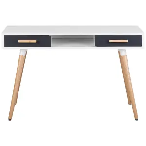 Home Office Desk with Storage Grey FRISCO